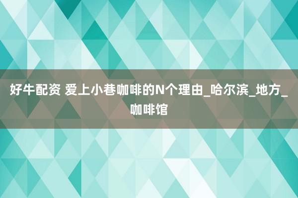 好牛配资 爱上小巷咖啡的N个理由_哈尔滨_地方_咖啡馆