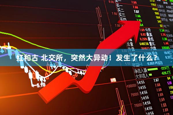 红和古 北交所，突然大异动！发生了什么？