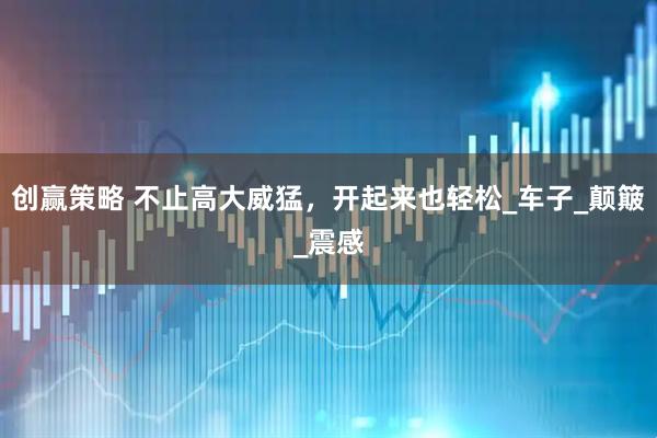 创赢策略 不止高大威猛，开起来也轻松_车子_颠簸_震感
