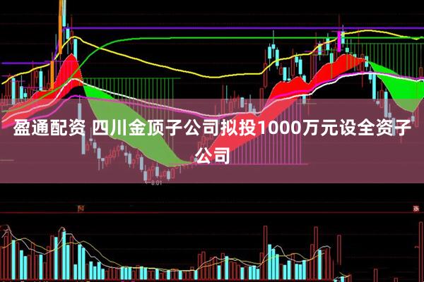 盈通配资 四川金顶子公司拟投1000万元设全资子公司