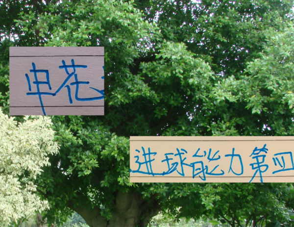 卓信宝 申花进球能力中超第四 但外援没一个进射手前10 真是内援带外援踢