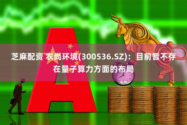 芝麻配资 农尚环境(300536.SZ)：目前暂不存在量子算力方面的布局