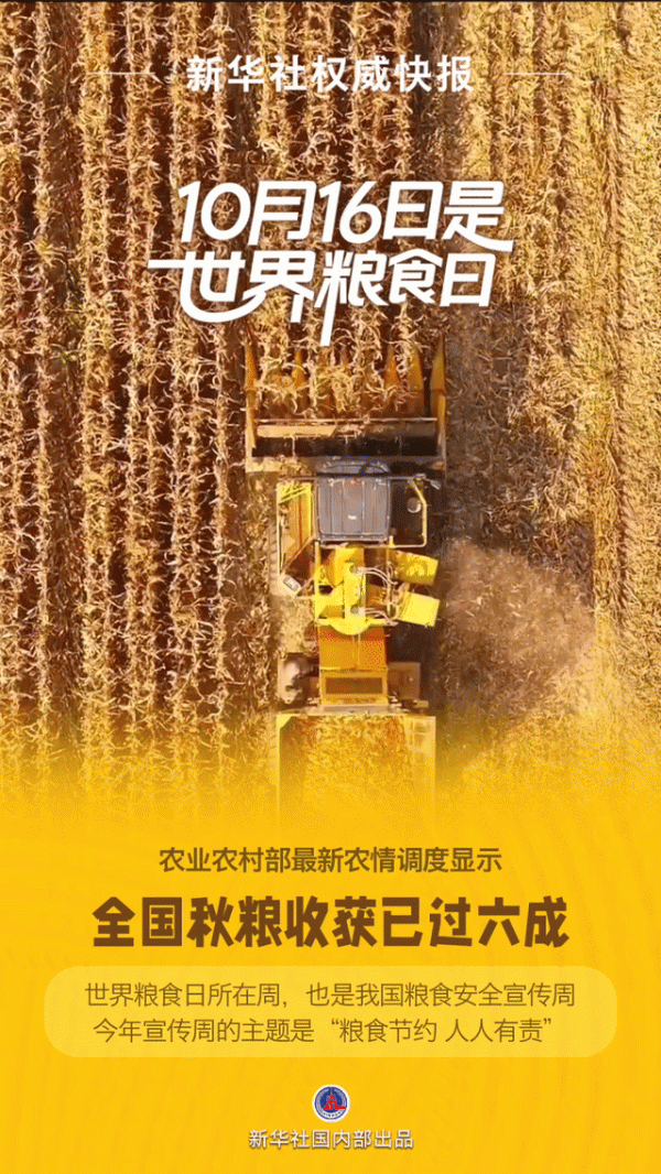 智云理财 新华鲜报｜守护好“食”光！世界粮食日话“饭碗”