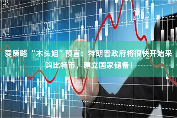 爱策略 “木头姐”预言：特朗普政府将很快开始采购比特币，建立国家储备！