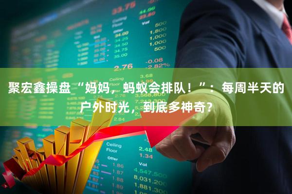 聚宏鑫操盘 “妈妈，蚂蚁会排队！”：每周半天的户外时光，到底多神奇？